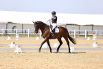 SBM_003065