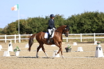 SBM_013106
