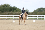 Class 14 - Novice 23 - 9.05-10.08 portfolio