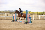 SBM_005857
