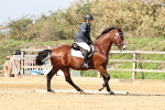 SBM_001673