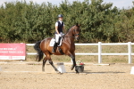 SBM_015090