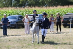WJ6_8018
