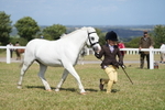 Class 62: Child Handler portfolio