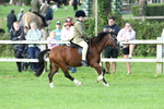 SBM_51878