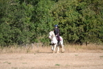 WJ6_7068