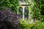 A Touch of Colour Cotehele-RLP35079