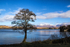 Loch Awe to Ben Cruachan