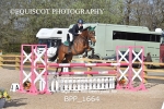 BPP_1664