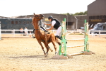 SBM_000908