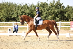 SBM_007509