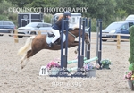 BPP_6390