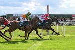 160725-Race 4-Lady Bouquet-9161