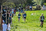 The Finish-441