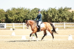 SBM_017295