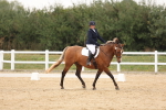 SBM_00452
