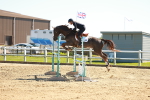 SBM_001818