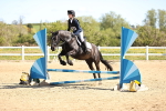 SBM_000729