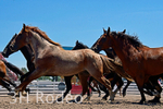 _DSC5049