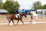 SBM_00986