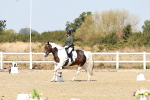 SBM_017462