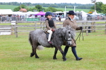 SBM_08113