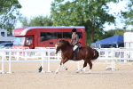SBM_16762