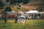 DSCF7182