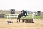 SBM_001597
