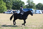 WJ6_7467