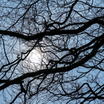 13th April Silhouette