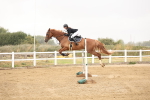 SBM_023990
