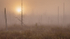 Wetland Fog-September