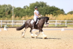 SBM_012286