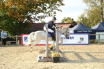 J8 - Junior Pony 65cm Championship portfolio