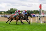 170826-Race 3-Quercus-9375