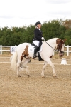 SBM_006334