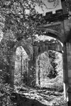 Black&White Versions portfolio