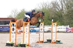 Cls 35 Young Horse 7yr old portfolio