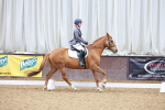 SBM_000961