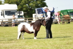 SBM_02000