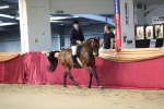 SBM_02060