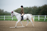 SBM_003460