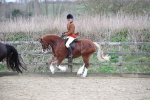 SBM_007247