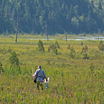 Fishing the Back Country
