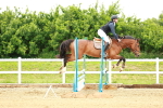 SBM_000205