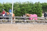 BPP_4442