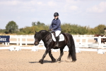SBM_03531