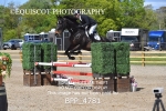 BPP_4781