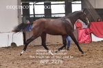 BPP_2275